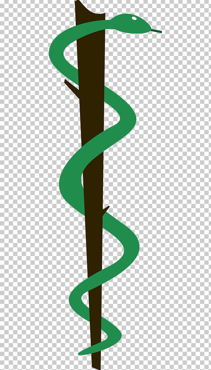 Lithuanian University Of Health Sciences Medicine Symbol PNG, Clipart, Angle, Animals, Background Green, Brown, Brown Wood Free PNG Download