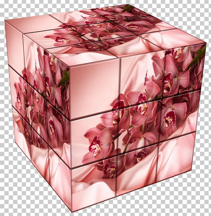 Rectangle Pink M PNG, Clipart, Art, Box, Cubes, Petal, Pink Free PNG Download