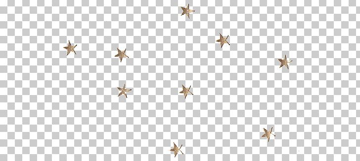 Star Party Gold Night Sky PNG, Clipart, Color, Gold, Invertebrate, Light, Line Free PNG Download