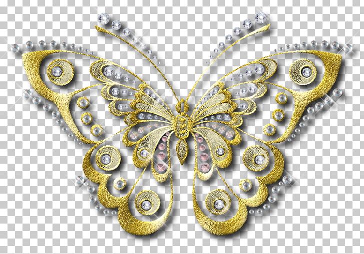 Butterfly Desktop Photography PNG, Clipart, Animation, Black And Gold Frame, Brooch, Butterflies And Moths, Butterfly Free PNG Download