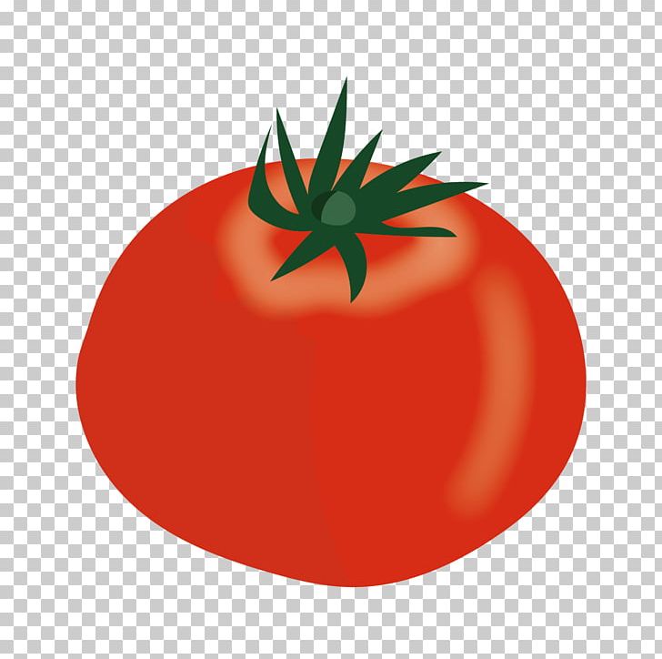 Plum Tomato Bush Tomato Vegetable PNG, Clipart, Bush Tomato, Condominium, Food, Fruit, Natural Foods Free PNG Download