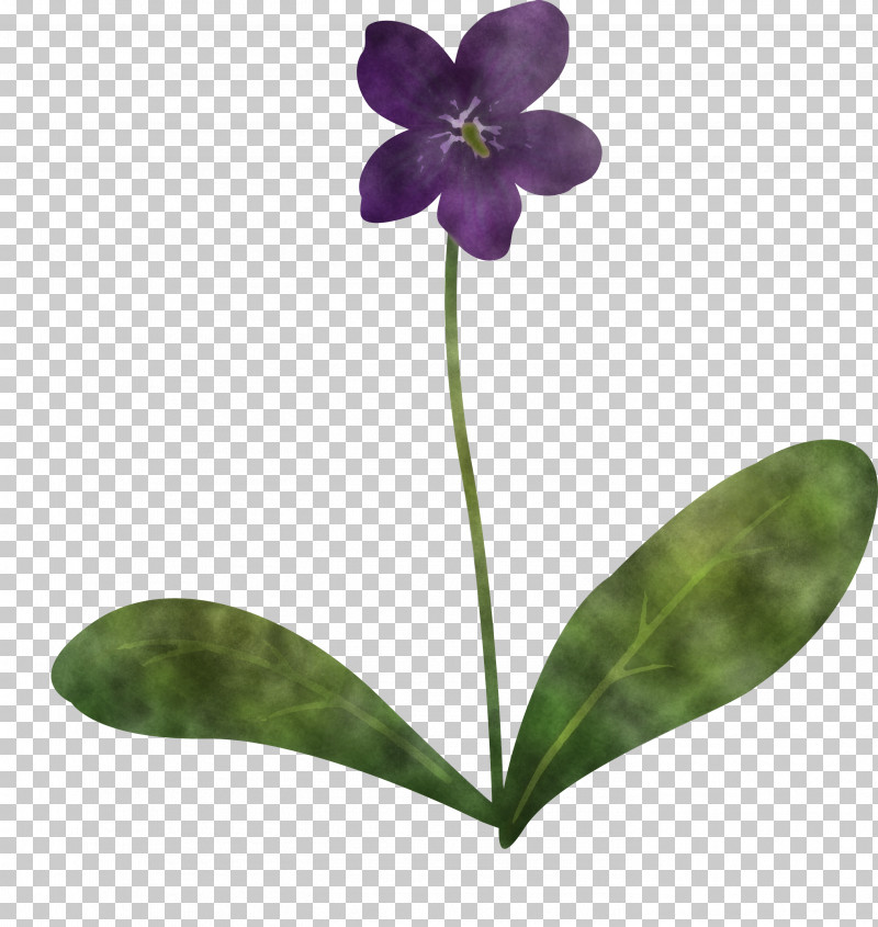 Violet Flower PNG, Clipart, Biology, Flora, Lavender, Moth Orchids, Orchids Free PNG Download