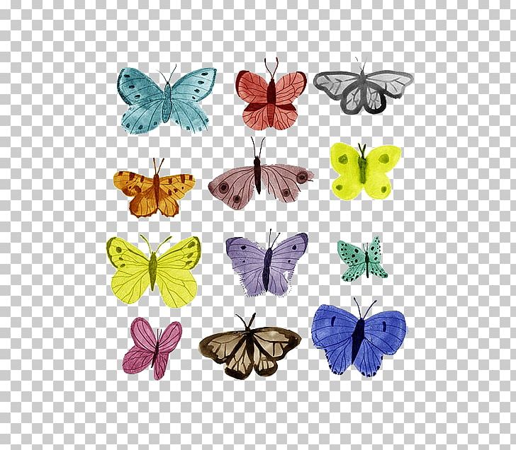 Butterfly Drawing Transparency And Translucency PNG, Clipart, Architecture, Art, Blue Butterfly, Brush Footed Butterfly, Butterflies Free PNG Download