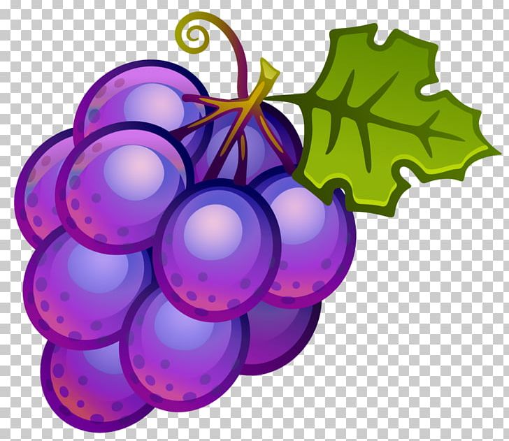 Common Grape Vine Wine Juice PNG, Clipart, Blog, Christmas Ornament, Common Grape Vine, Flowering Plant, Food Free PNG Download