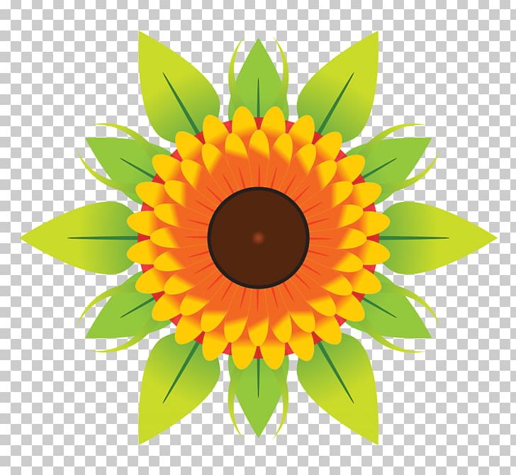Sunflower Sunflower Seed Flower PNG, Clipart, Art, Cut Flowers, Daisy Family, Desktop Wallpaper, Drawing Free PNG Download
