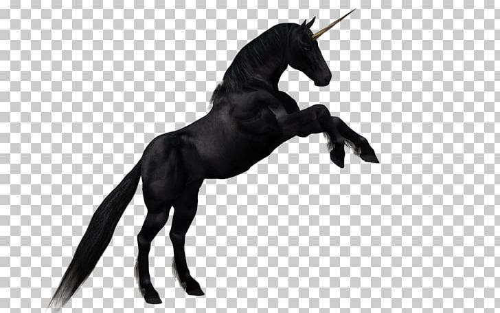 Horse Unicorn PNG, Clipart, Animal Figure, Animals, Black And White, Cartoon, Desktop Wallpaper Free PNG Download