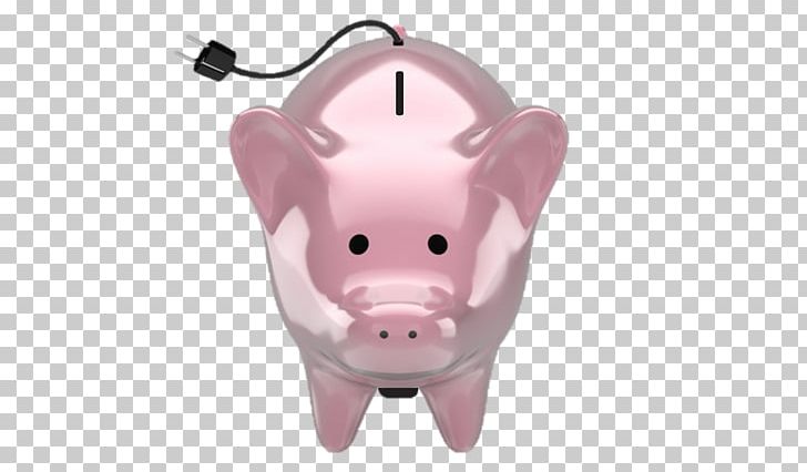 Piggy Bank Snout PNG, Clipart, Animals, Bank, Mammal, Nose, Pig Free PNG Download