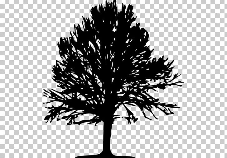 The Sims 4 Computer Icons Tree PNG, Clipart, Black And White, Branch, Computer Icons, Conifer, Dingbat Free PNG Download