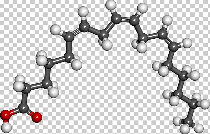 Gamma-Linolenic Acid Alpha-Linolenic Acid Linoleic Acid Fatty Acid PNG, Clipart, Acid, Alphalinolenic Acid, Arachidonic Acid, Black And White, Body Jewelry Free PNG Download