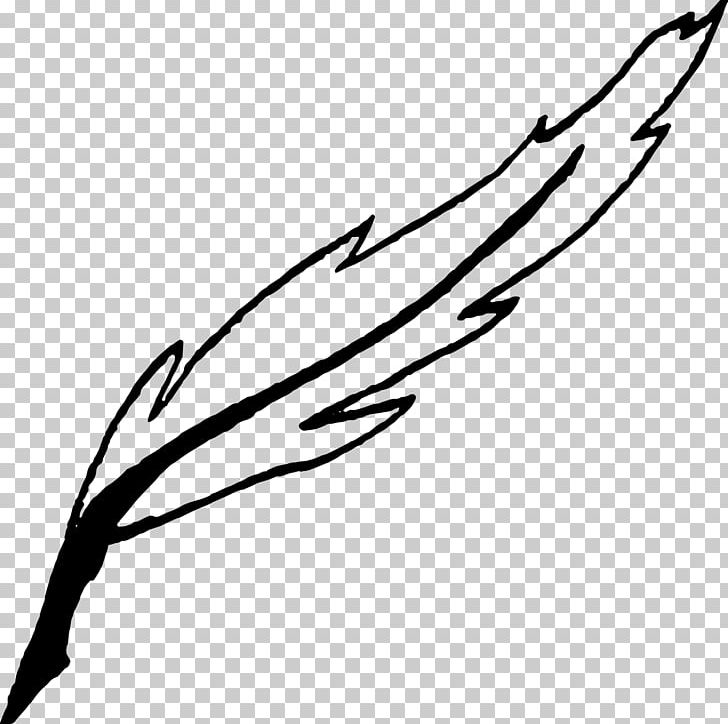 Twig Plant Stem Leaf PNG, Clipart, Art, Beak, Black, Black And White, Black M Free PNG Download
