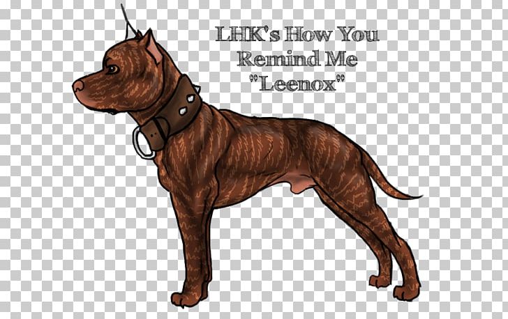 Dog Breed Italian Greyhound Chihuahua Dachshund PNG, Clipart, American Pit Bull Terrier, Autocad Dxf, Breed, Breeder, Carnivoran Free PNG Download