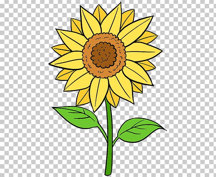 Hand Drawn Sunflower Sketch Line Art 10864020 PNG