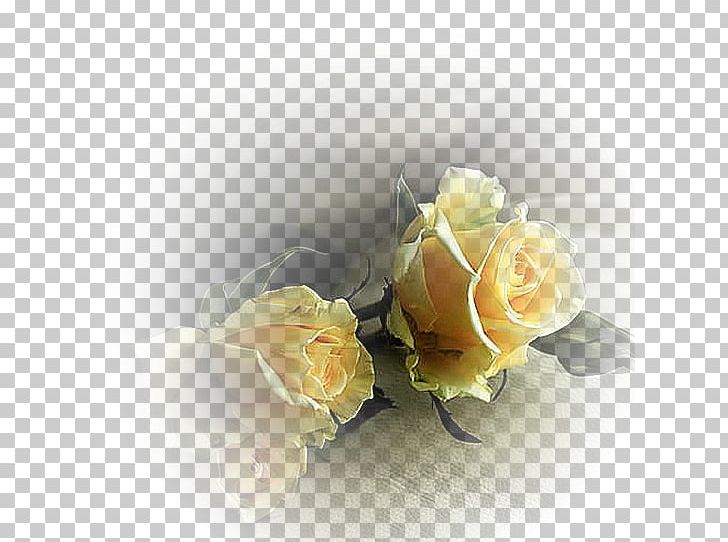 Our Lady Of Fátima Death Love Desktop PNG, Clipart, Computer Wallpaper, Cut Flowers, Floral Design, Floristry, Flow Free PNG Download
