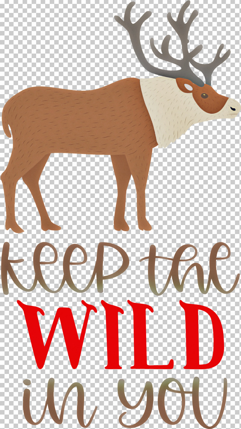 Keep Wild Deer PNG, Clipart, Antler, Biology, Deer, Keep Wild, Meter Free PNG Download