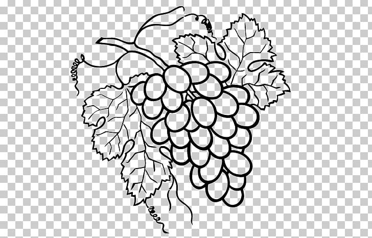 Drawing Grape Raceme Painting PNG, Clipart, Area, Art, Black And White, Branch, Bunch Free PNG Download