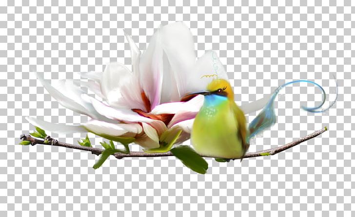 Bird Portable Network Graphics Painting Theme PNG, Clipart, Animals, Bird, Branch, Cut Flowers, Digital Image Free PNG Download