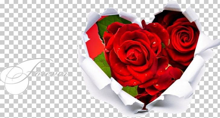 Heart Rose Love Valentine's Day Romance PNG, Clipart, Heart, Romance Free PNG Download