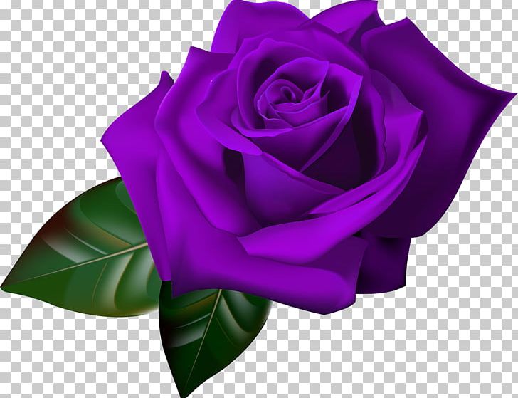 Rose Gardening Flower PNG, Clipart, Bud, Clip Art, Cut Flowers, Desktop Wallpaper, Drawing Free PNG Download