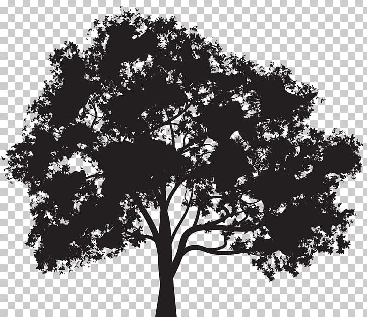 Silhouette Tree PNG, Clipart, Black And White, Branch, Clipart, Clip Art, Desktop Wallpaper Free PNG Download