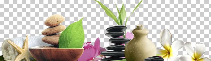 Stone Massage Day Spa Spa Dior PNG, Clipart, Day Spa, Dior, Model, Stone Massage Free PNG Download