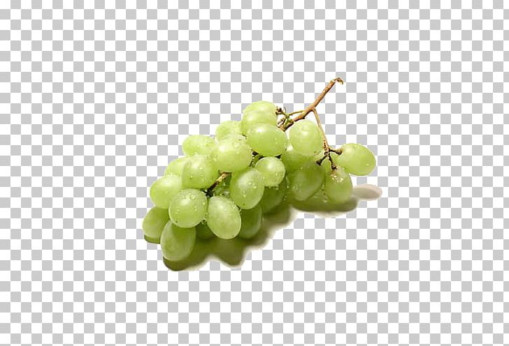 Vinho Verde Red Wine Common Grape Vine PNG, Clipart, Background Green, Blue, Common Grape Vine, Food, Fruit Free PNG Download