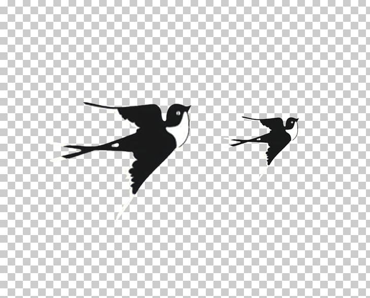 Bird Flight PNG, Clipart, Adobe Illustrator, Animals, Beak, Bird, Bird Cage Free PNG Download