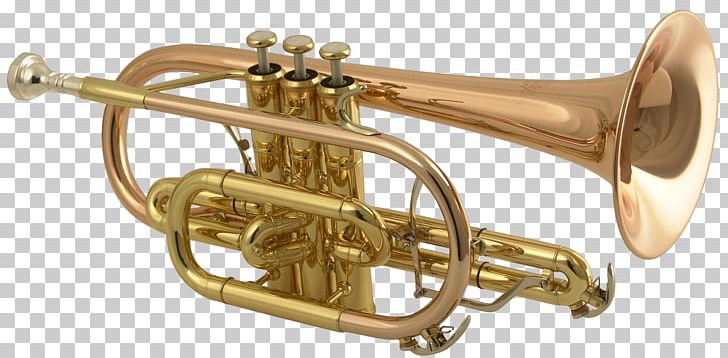 Cornet Trumpet Brass Instrument Musical Instrument Bore PNG, Clipart, Acoustic Guitar, Alto Horn, Bass, Brass, Brass Instruments Free PNG Download