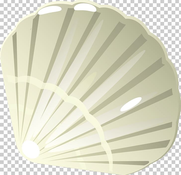 Euclidean Seashell PNG, Clipart, Adobe Illustrator, Animals, Animation, Artworks, Decorative Fan Free PNG Download