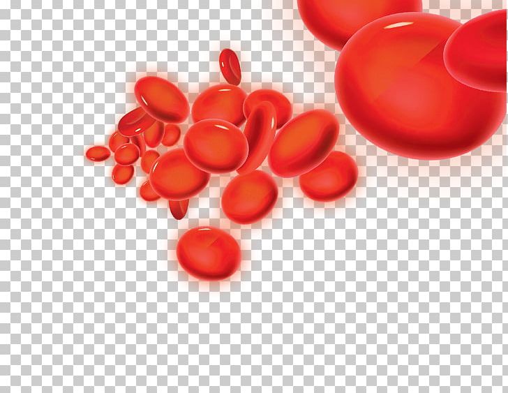 Heart Hemodynamics Blood Pressure Vascular Resistance PNG, Clipart, Aorta, Artery, Bleeding, Blood, Blood Flow Free PNG Download