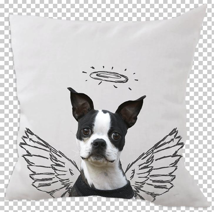 Pug Pillow Dog Breed Pet Cat PNG, Clipart, Bed, Boston Terrier, Carnivoran, Cat, Collar Free PNG Download
