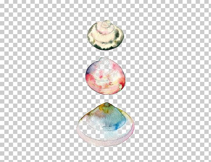 Watercolor Painting Drawing Seashell PNG, Clipart, Art, Artist, Circle, Color, Egg Shell Free PNG Download