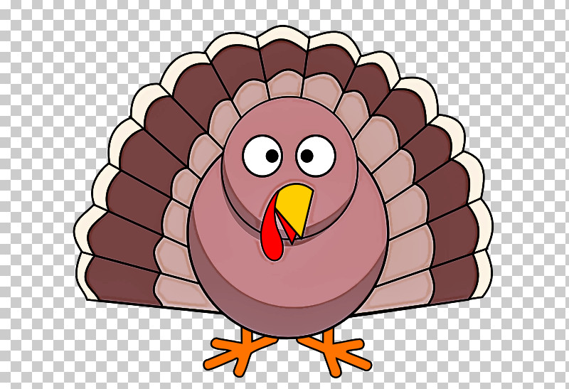 Thanksgiving PNG, Clipart, Beak, Bird, Bird Of Prey, Cartoon, Thanksgiving Free PNG Download