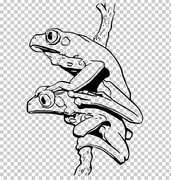 Blue Poison Dart Frog Coloring Book Strawberry Poison-dart Frog Yellow-banded Poison Dart Frog PNG, Clipart, Amphibian, Animal, Animals, Arm, Art Free PNG Download
