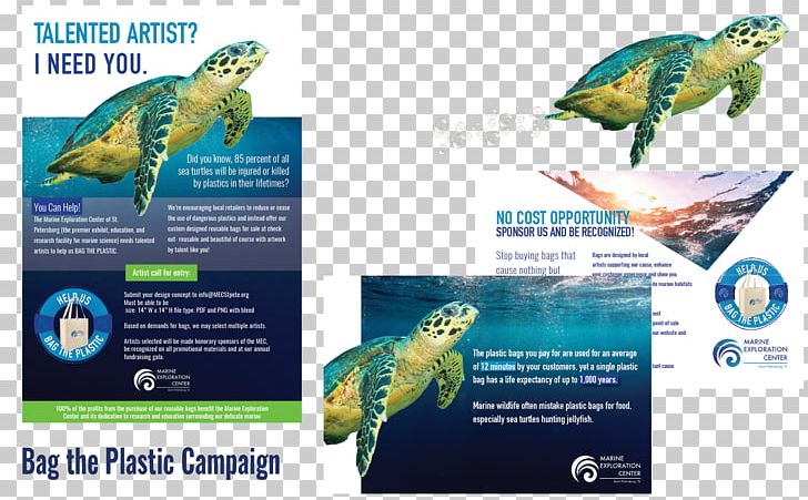 CLEAR LABS Marine Biology Parakeet Ecosystem Fauna PNG, Clipart, Advertising, Beak, Biology, Clear Labs, Ecosystem Free PNG Download