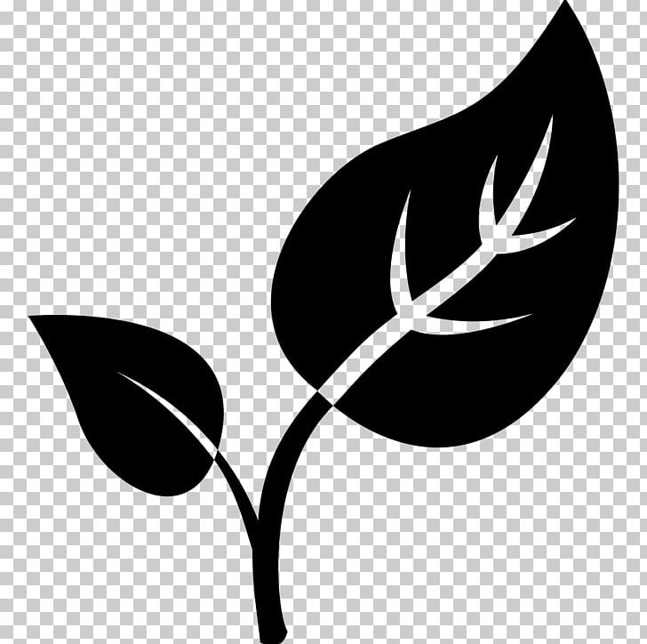 Computer Icons Leaf PNG, Clipart, Black And White, Branch, Computer Icons, Computer Wallpaper, Download Free PNG Download
