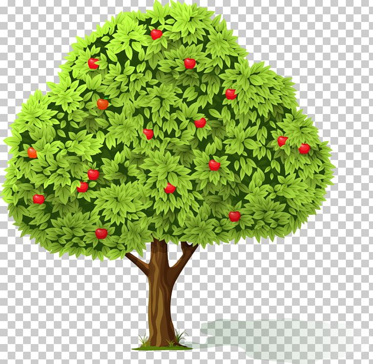 Flowerpot Houseplant Evergreen Tree PNG, Clipart, Alt Attribute, Apple, Apple Tree, Christmas Decoration, Commandline Interface Free PNG Download