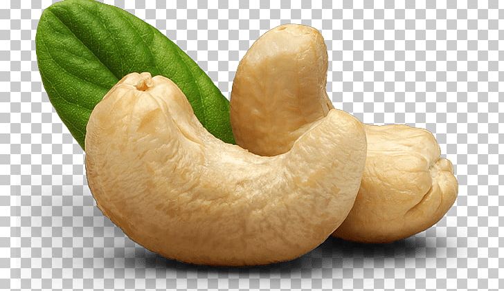 Nutrient Cashew Butter PNG, Clipart, Business, Cashew, Cashew Butter, Coconut, Cucurbita Free PNG Download