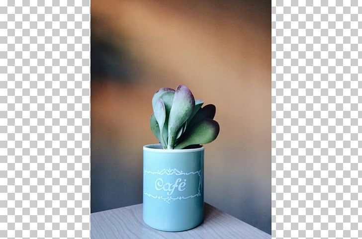 Ceramic Flowerpot PNG, Clipart, Ceramic, Flower, Flowerpot, Nature, Plant Free PNG Download