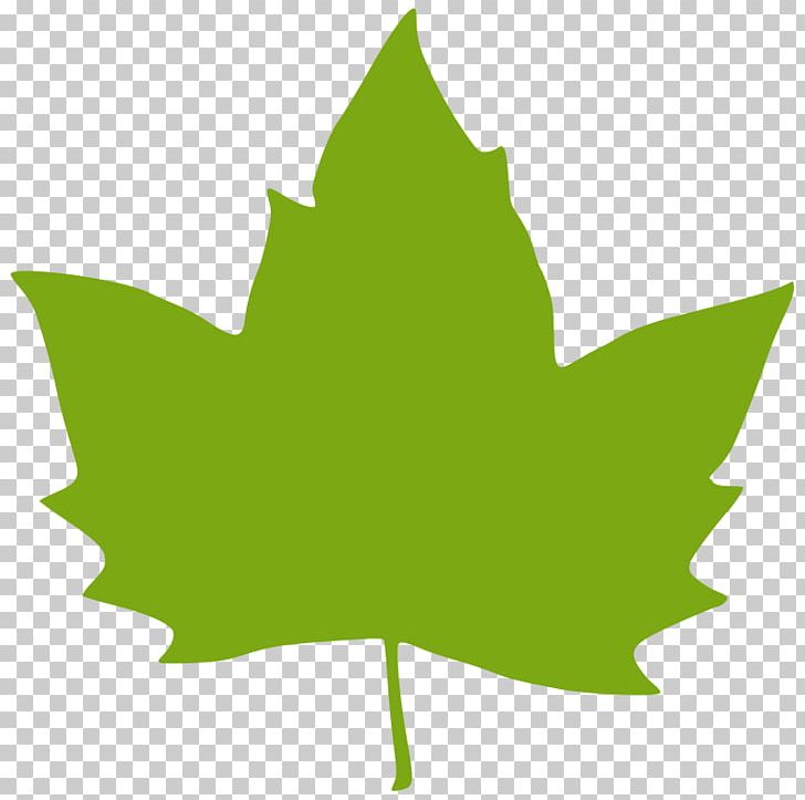 Leaf Green PNG, Clipart, Autumn, Autumn Leaf Color, Computer Icons, Download, Drawing Free PNG Download