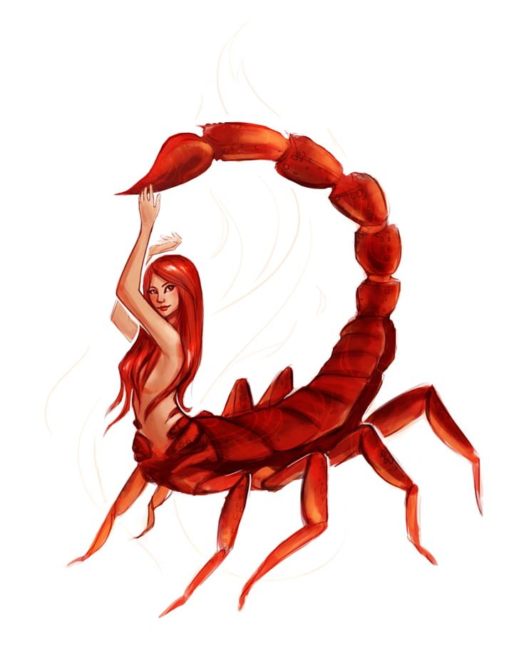 Scorpio Drawing Woman Zodiac Astrological Sign PNG, Clipart, Art, Astrological Sign, Astrology, Cancer, Drawing Free PNG Download