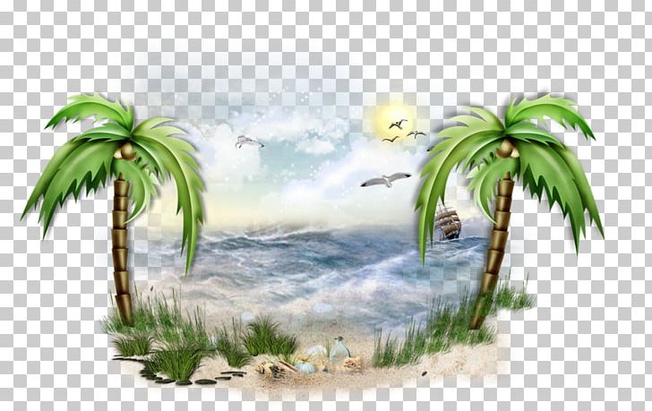 Sea Desktop PNG, Clipart, Arecaceae, Arecales, Beach, Blog, Coconut Free PNG Download