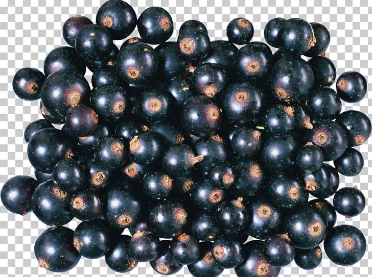 Blackcurrant Varenye Nalewka Redcurrant PNG, Clipart, Bead, Berry, Bilberry, Blackberry, Blackcurrant Free PNG Download