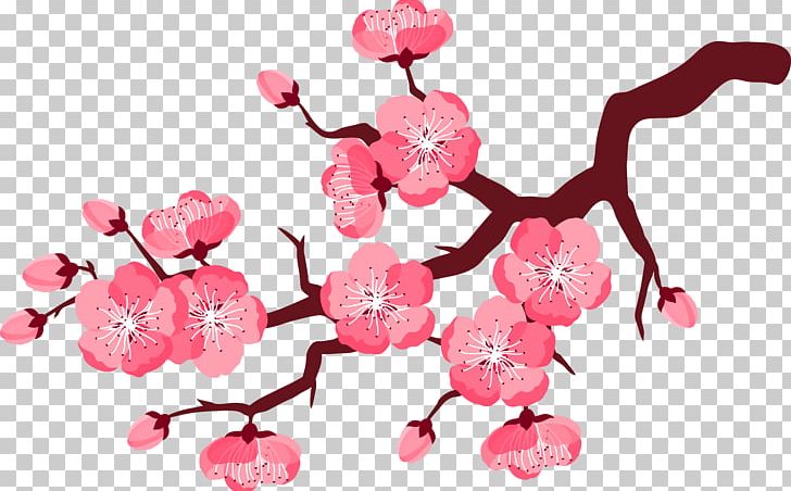 Cherry Blossom Flower PNG, Clipart, Branch, Branches, Cartoon, Creative Market, Fruit Nut Free PNG Download