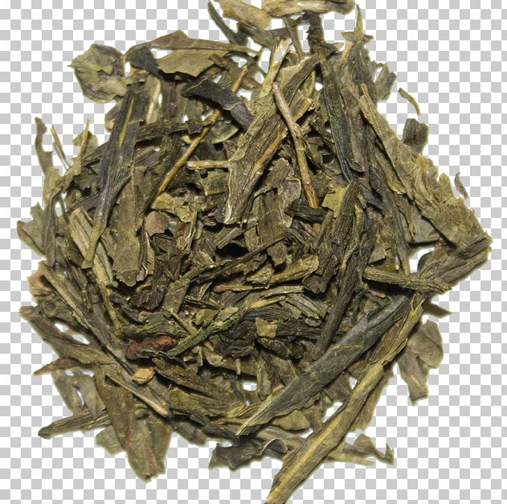 Darjeeling Tea Dianhong Nilgiri Tea PNG, Clipart, Assam Tea, Baihao Yinzhen, Bai Mudan, Bancha, Biluochun Free PNG Download