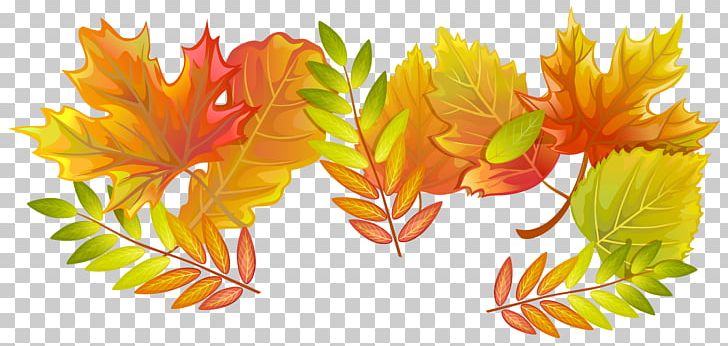 Autumn Leaf PNG, Clipart, Autumn, Autumn Leaf, Autumn Leaf Color, Clipart, Decorative Free PNG Download