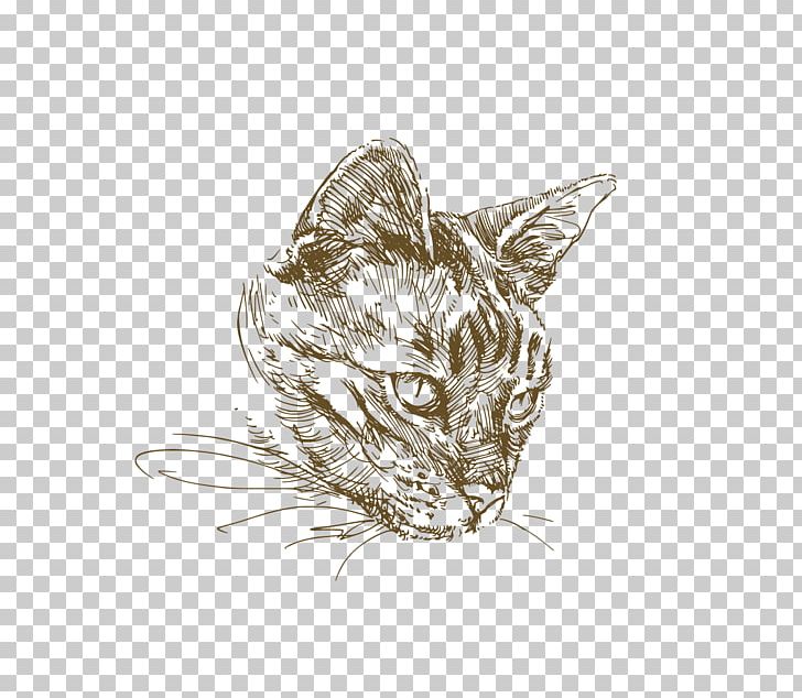 Cat Kitten Drawing Illustration PNG, Clipart, Animal, Animals, Art, Carnivoran, Cat Like Mammal Free PNG Download