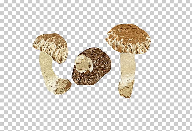 Zongzi Mushroom Fungus Painting PNG, Clipart, Agaricaceae, Agaricomycetes, Agaricus, Champignon Mushroom, Color Free PNG Download