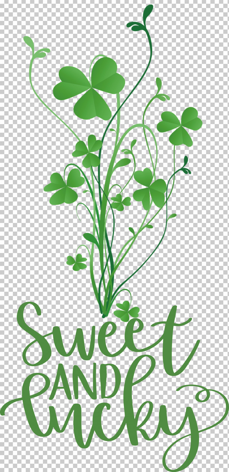 Sweet And Lucky St Patricks Day PNG, Clipart, Clover, Floral Design, Grasses, Leaf, Leaf Vegetable Free PNG Download