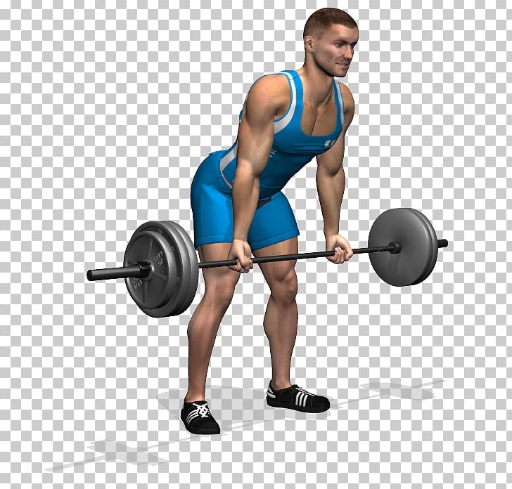 Barbell Pronation Bent-over Row Physical Exercise Weight Training PNG, Clipart, Abdomen, Arm, Body, Bodybuilder, Exercise Equipment Free PNG Download