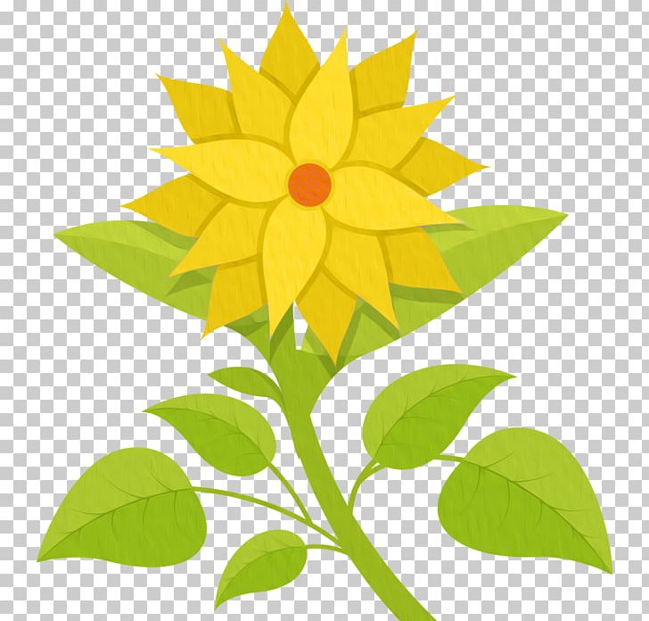 Drawing Flower PNG, Clipart, Art, Cari, Daisy Family, Deco, Drawing Free PNG Download